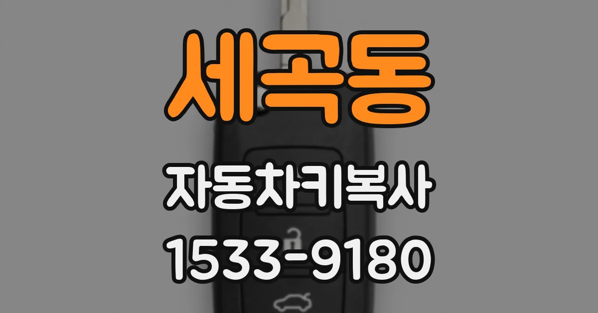 세곡동 자동차키복사