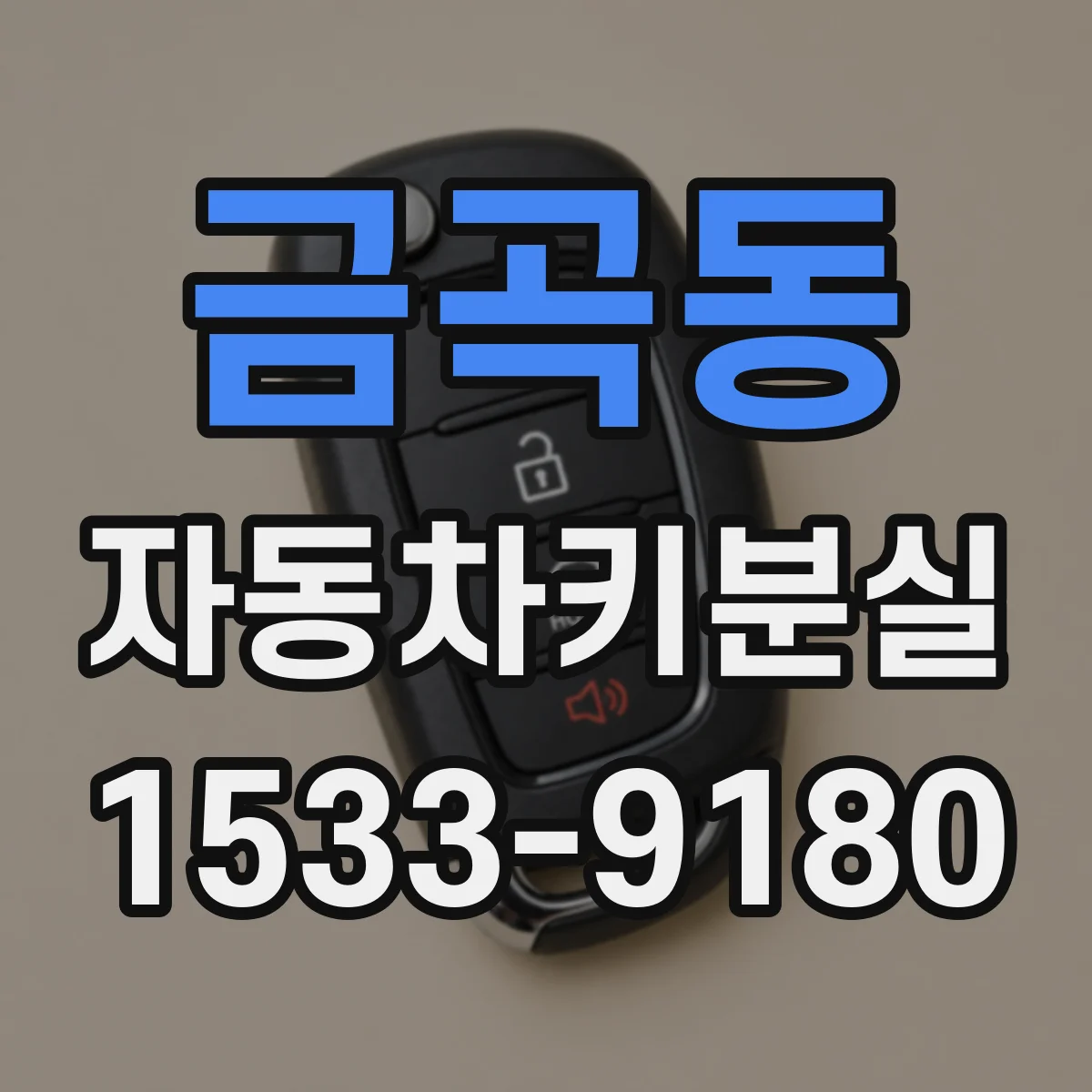 금곡동 자동차키분실