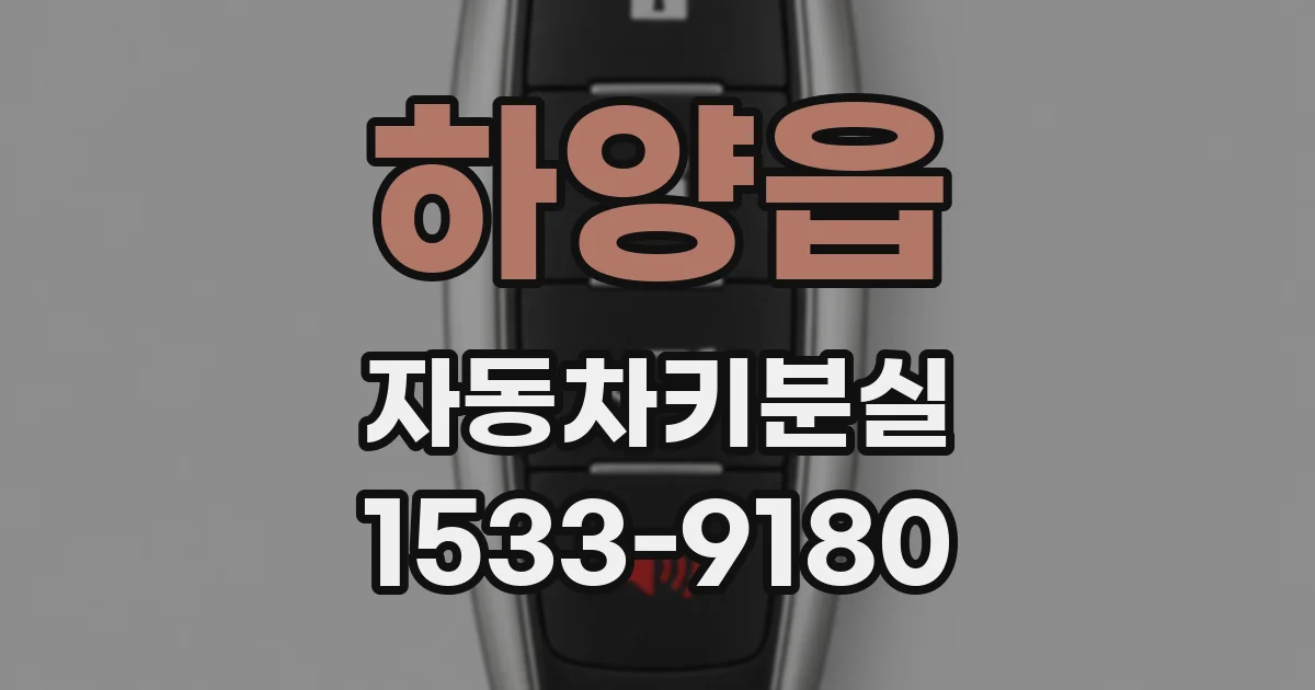 하양읍 자동차키분실