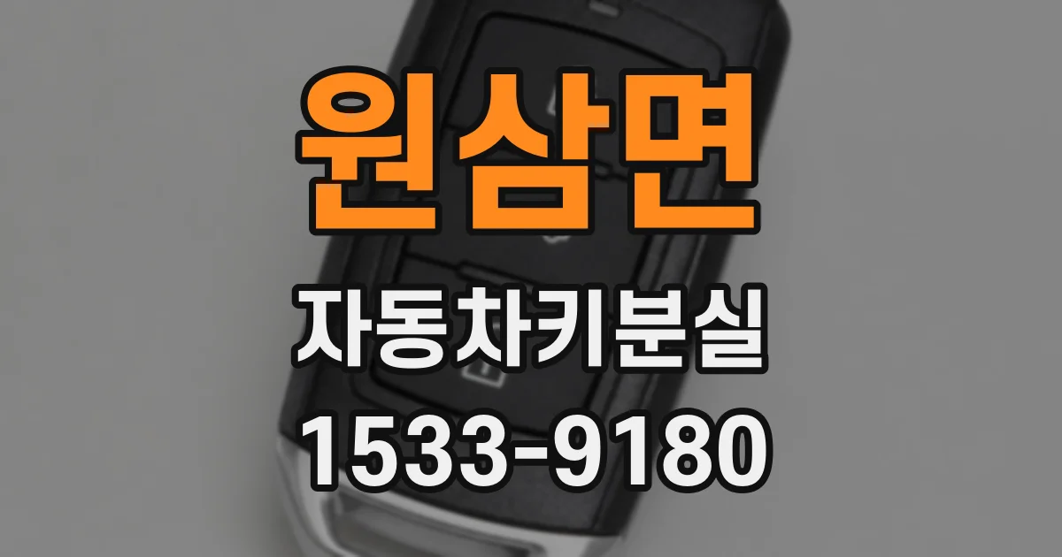 원삼면 자동차키분실