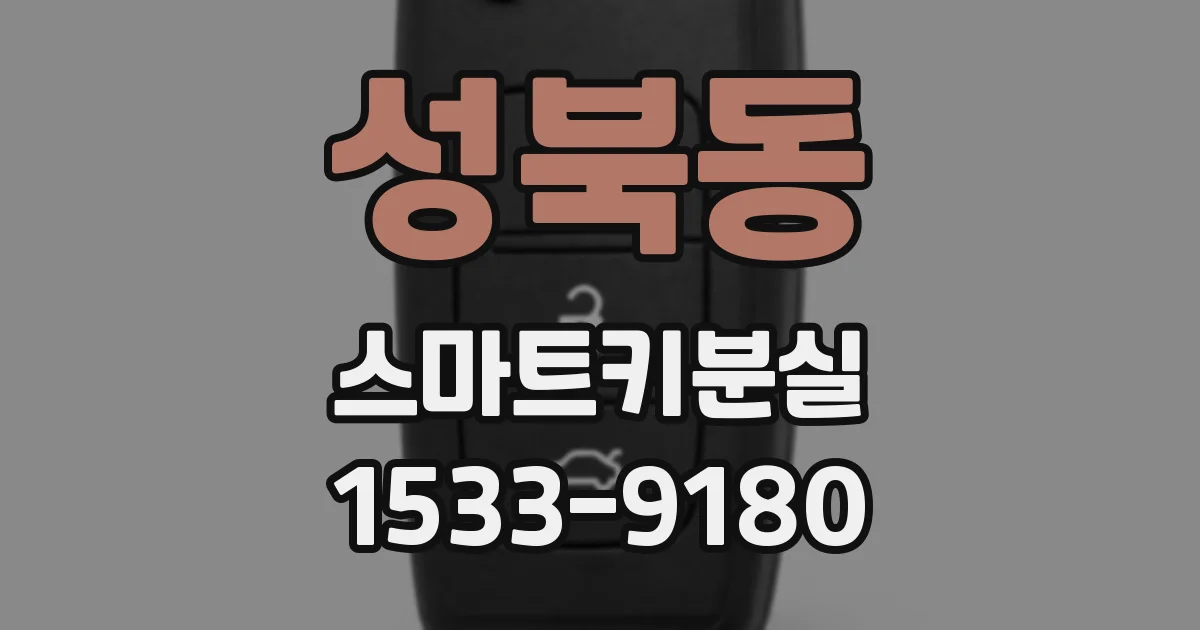 성북동 스마트키분실