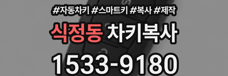 식정동 차키복사