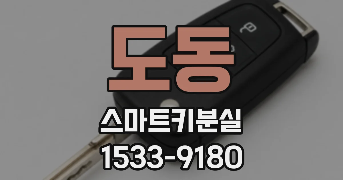 도동 스마트키분실