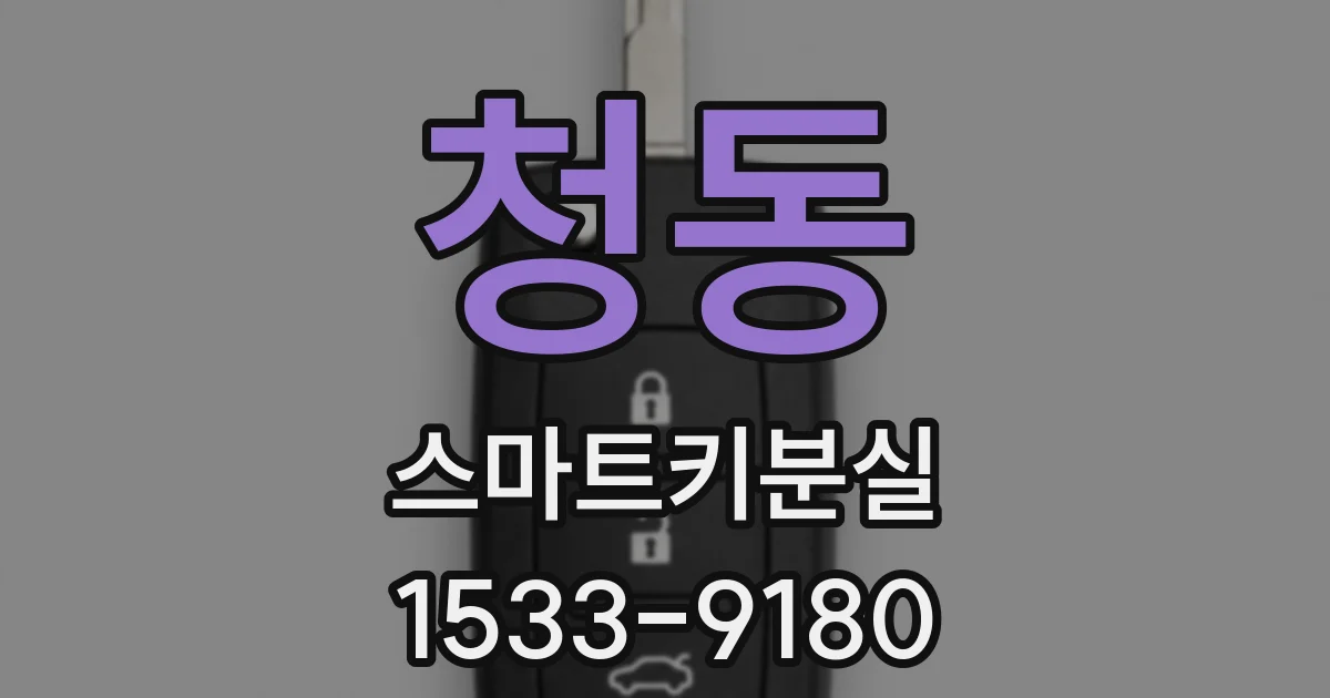 청동 스마트키분실