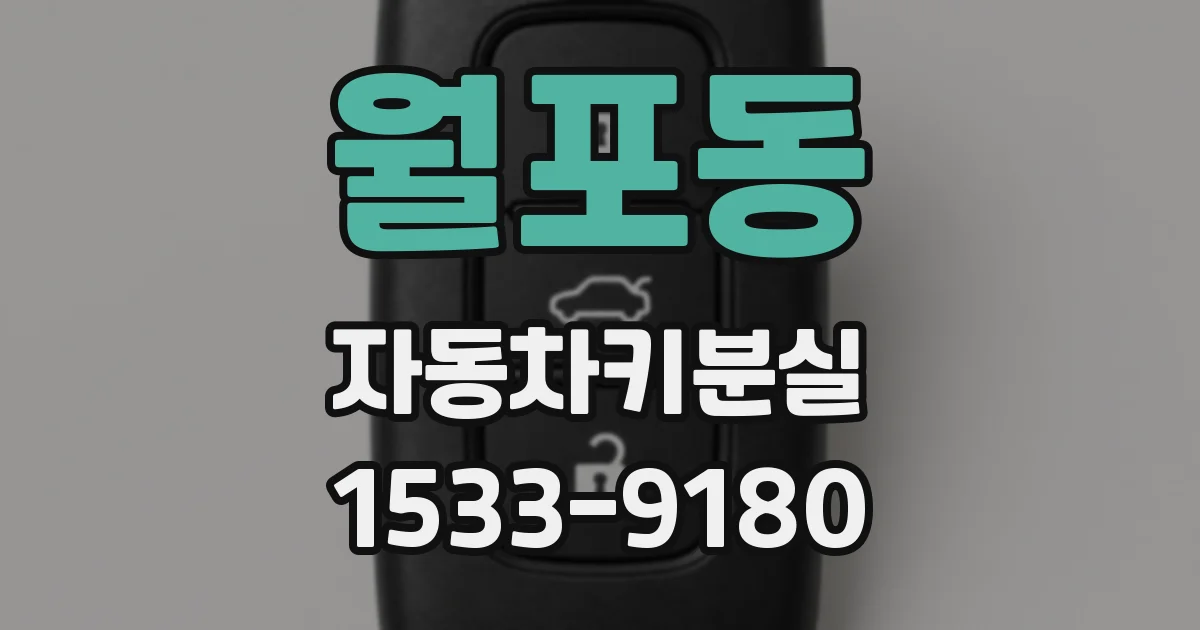 월포동 자동차키분실