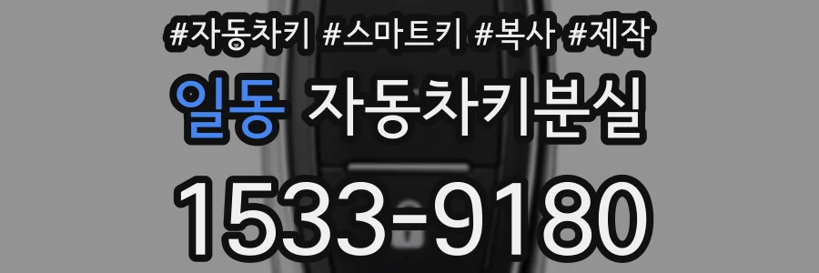일동 자동차키분실
