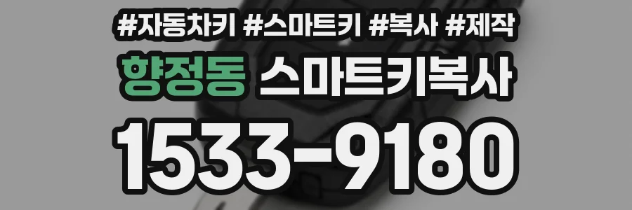 향정동 스마트키복사