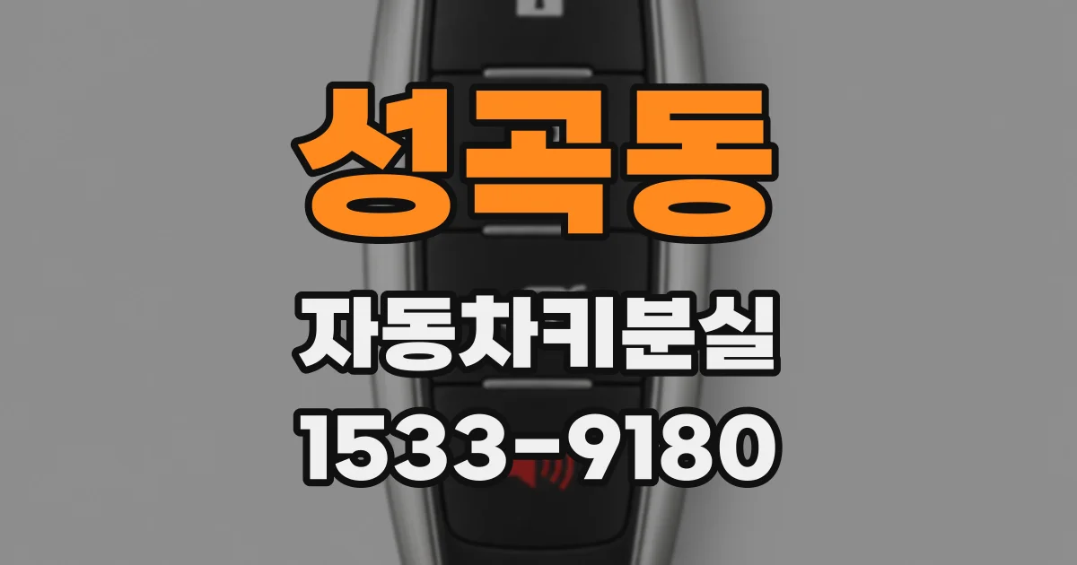 성곡동 자동차키분실