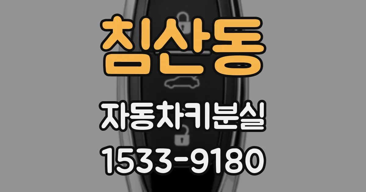 침산동 자동차키분실