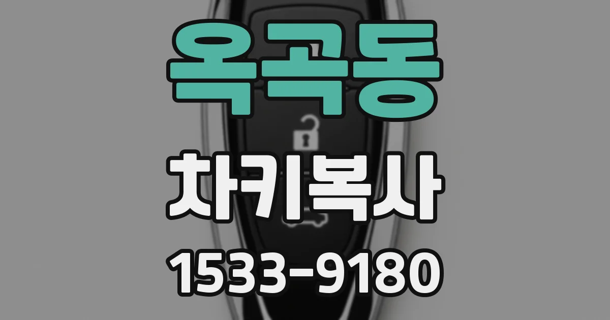 옥곡동 차키복사
