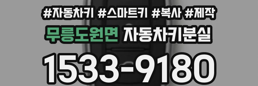 무릉도원면 자동차키분실