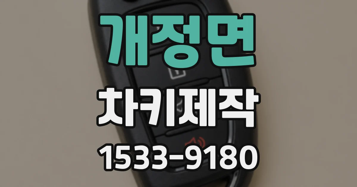 개정면 차키제작