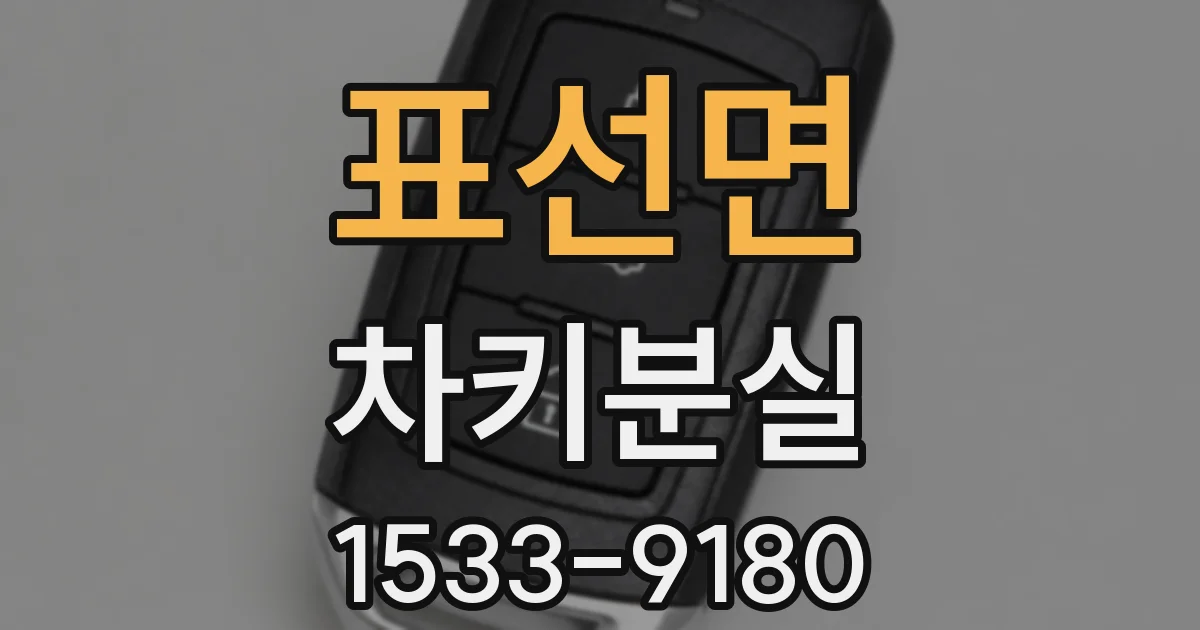 표선면 차키분실