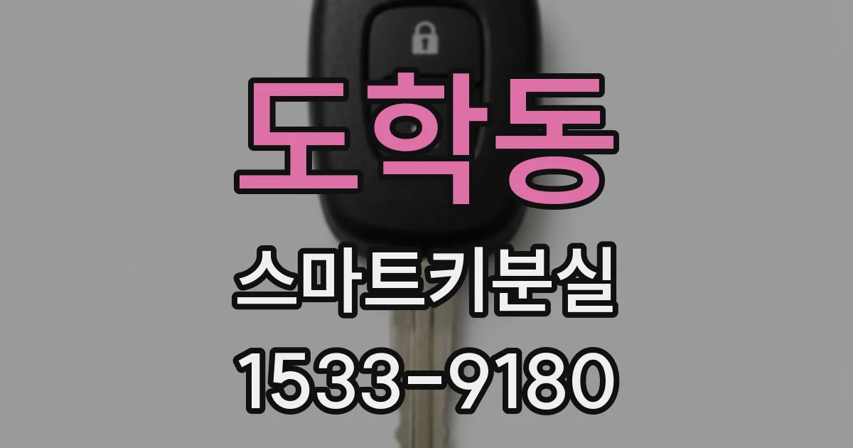 도학동 스마트키분실