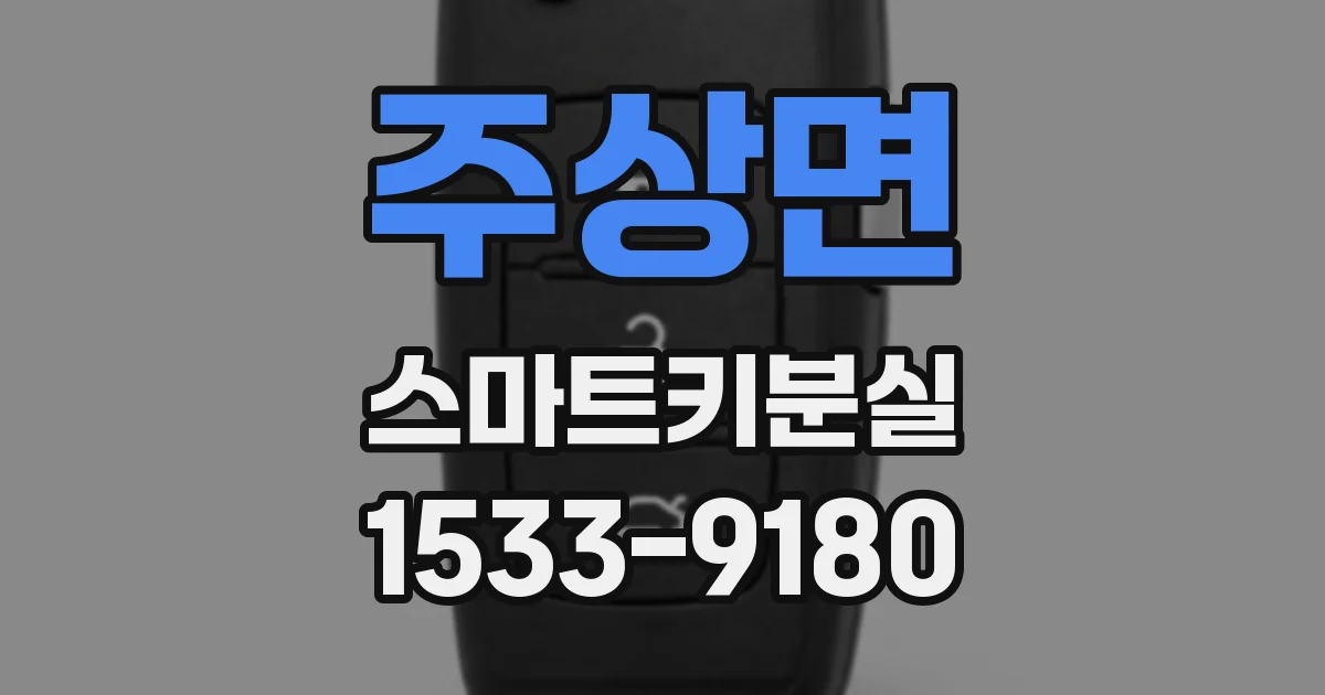 주상면 스마트키분실