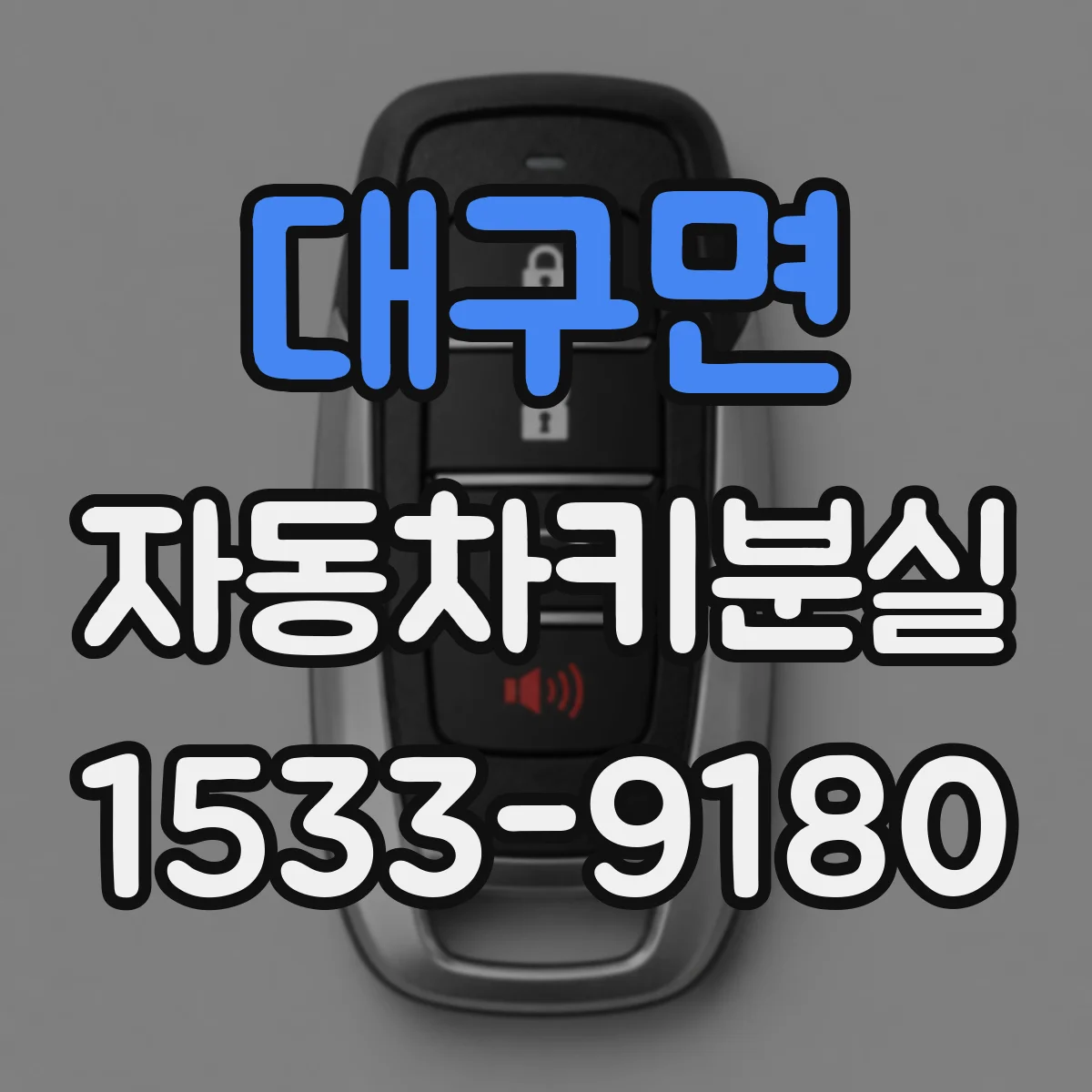 대구면 자동차키분실