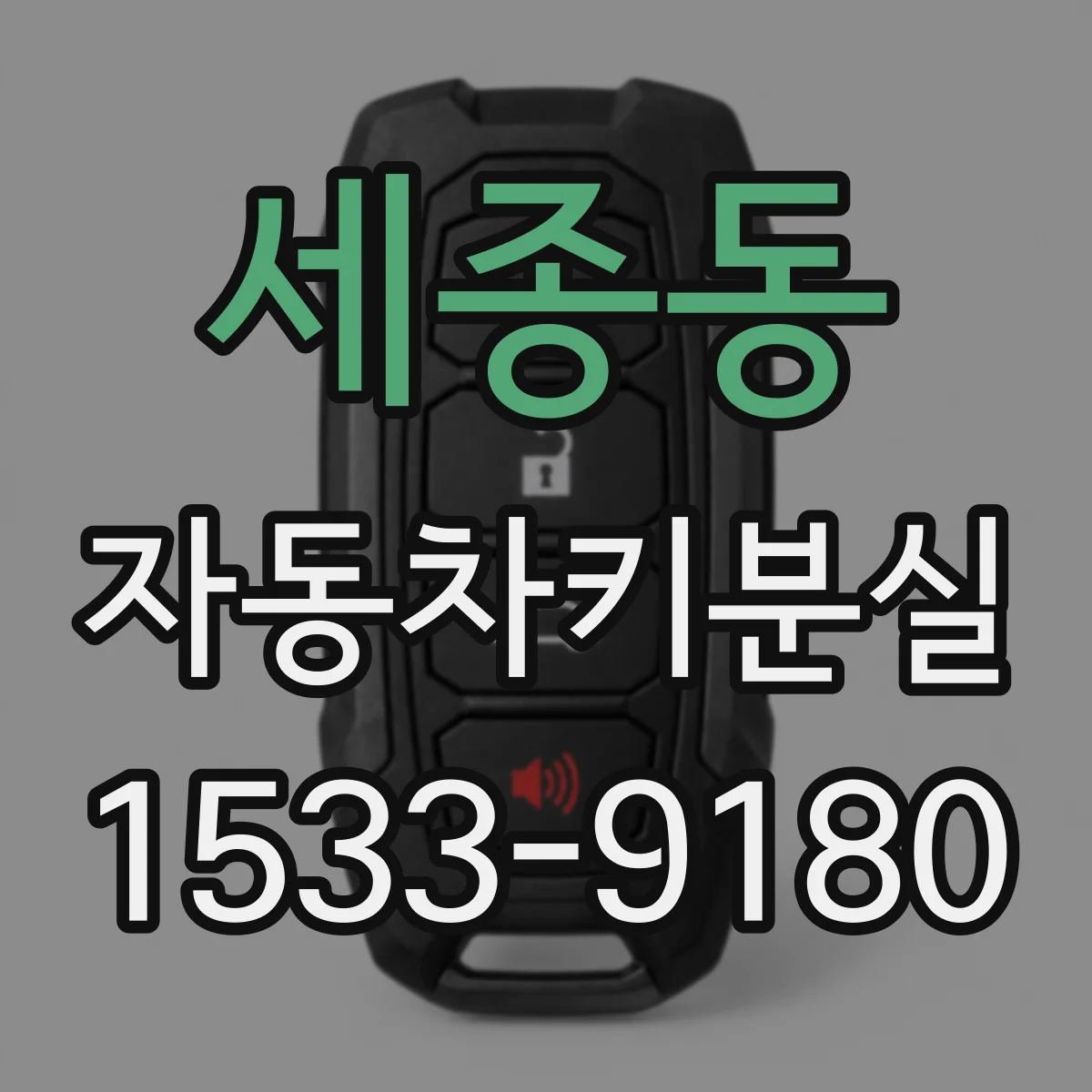 세종동 자동차키분실