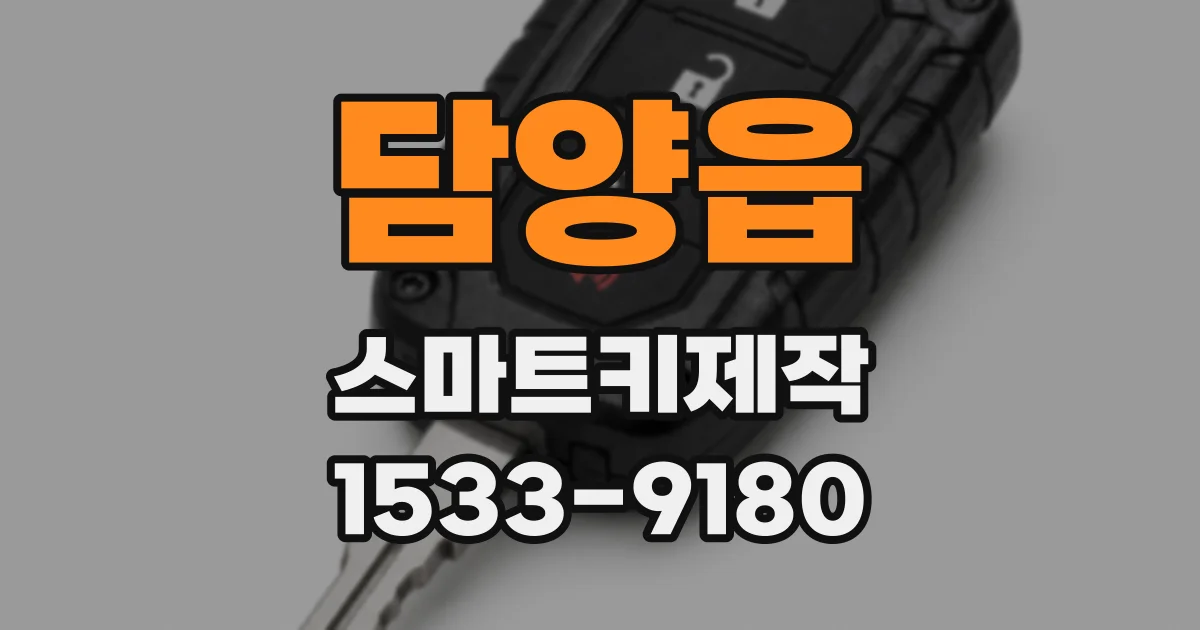 담양읍 스마트키제작