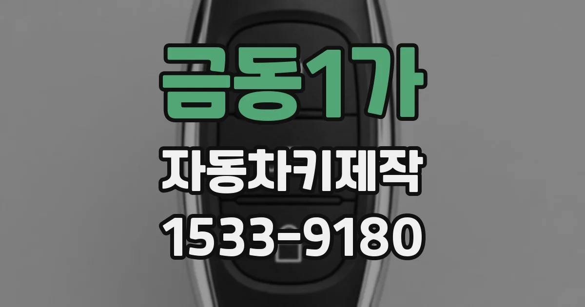 금동1가 자동차키제작