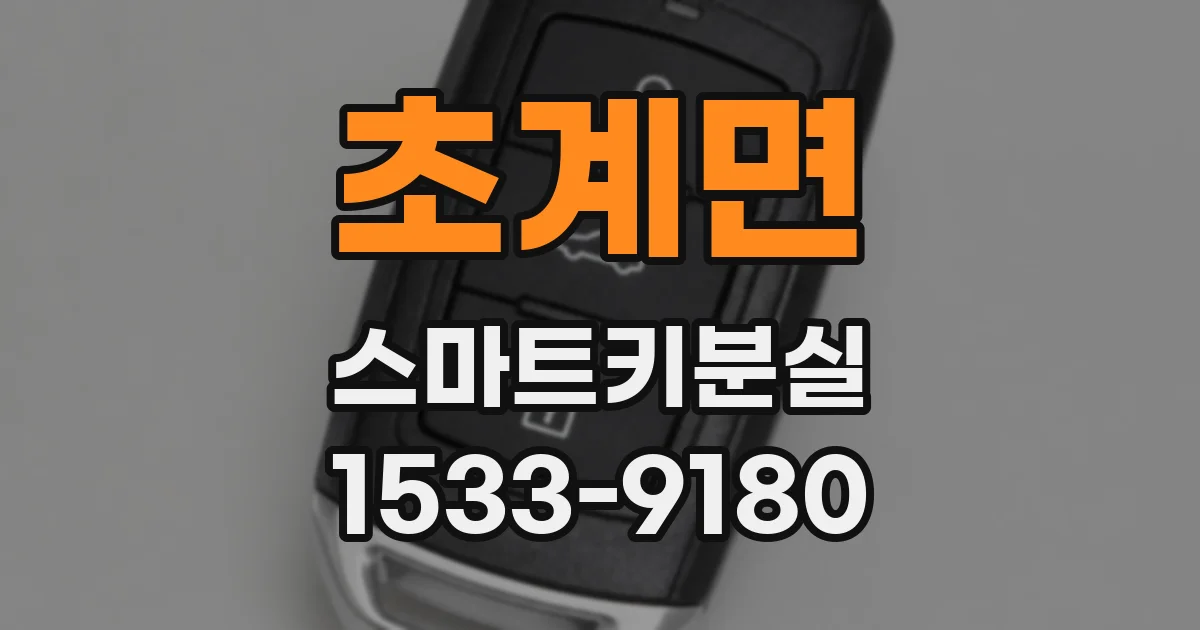 초계면 스마트키분실