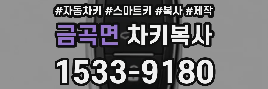 금곡면 차키복사