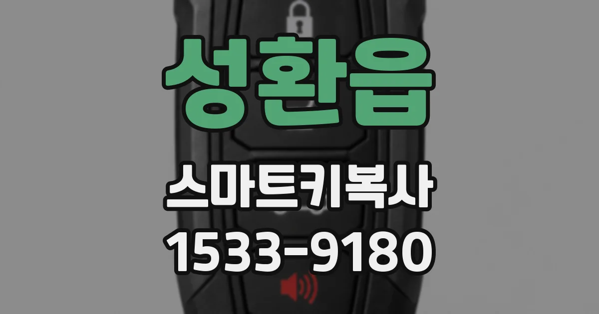 성환읍 스마트키복사
