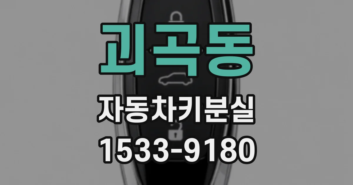 괴곡동 자동차키분실