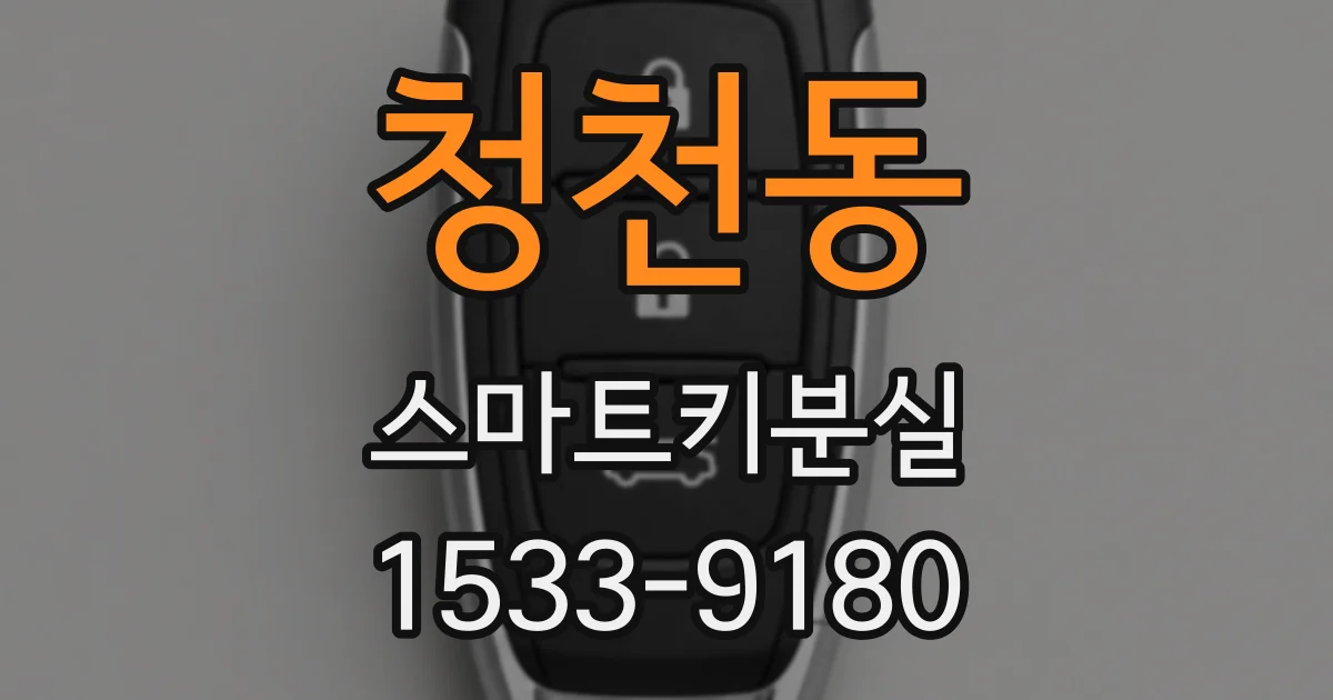 청천동 스마트키분실