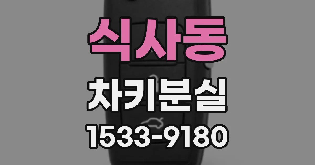 식사동 차키분실