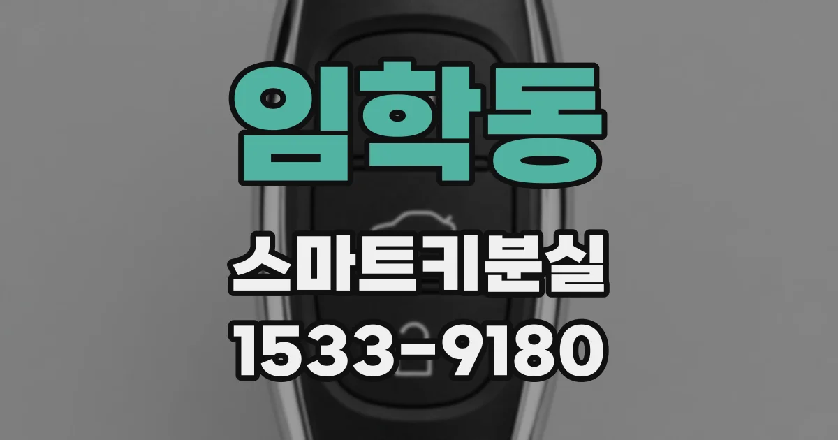 임학동 스마트키분실