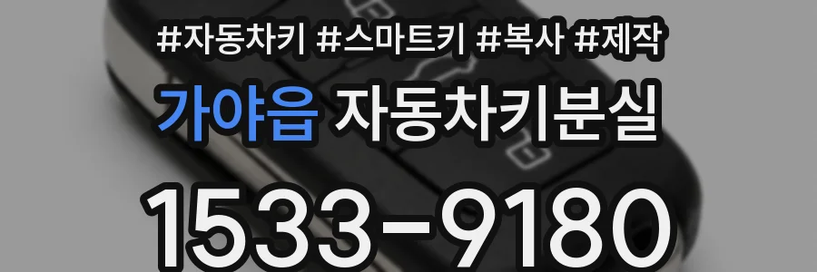 가야읍 자동차키분실