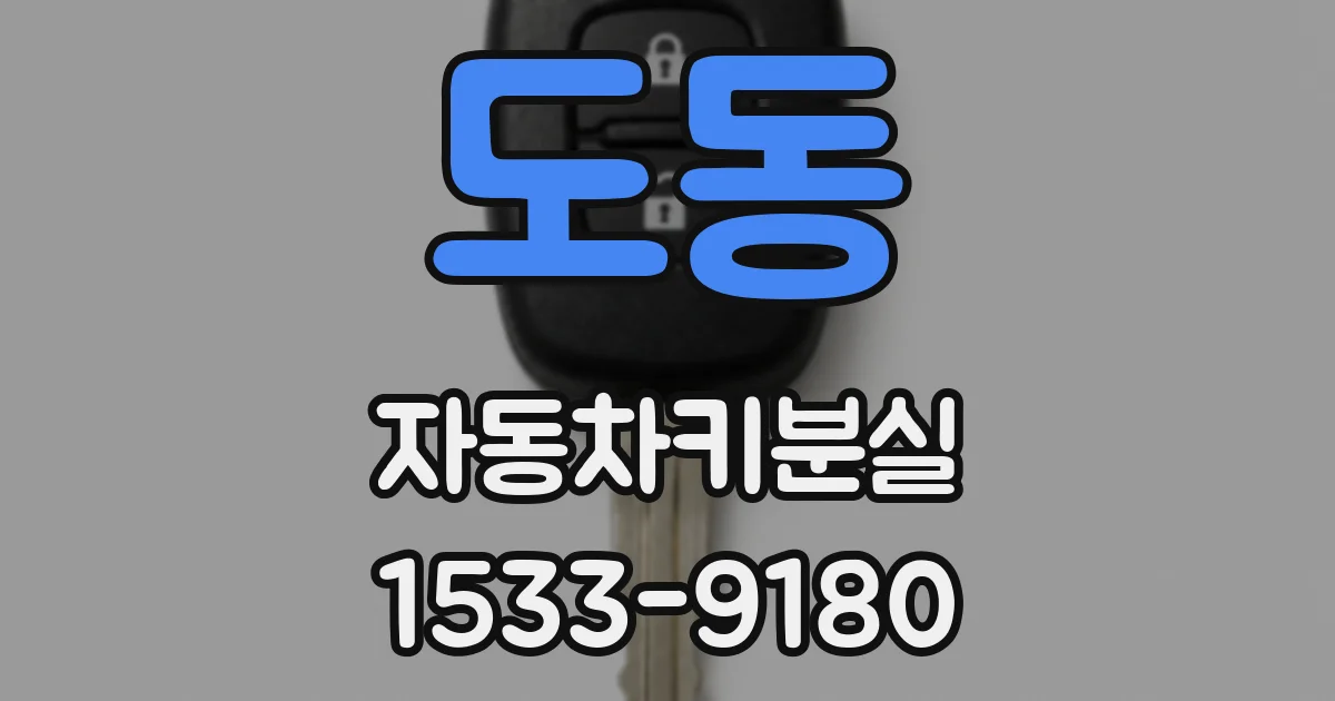 도동 자동차키분실