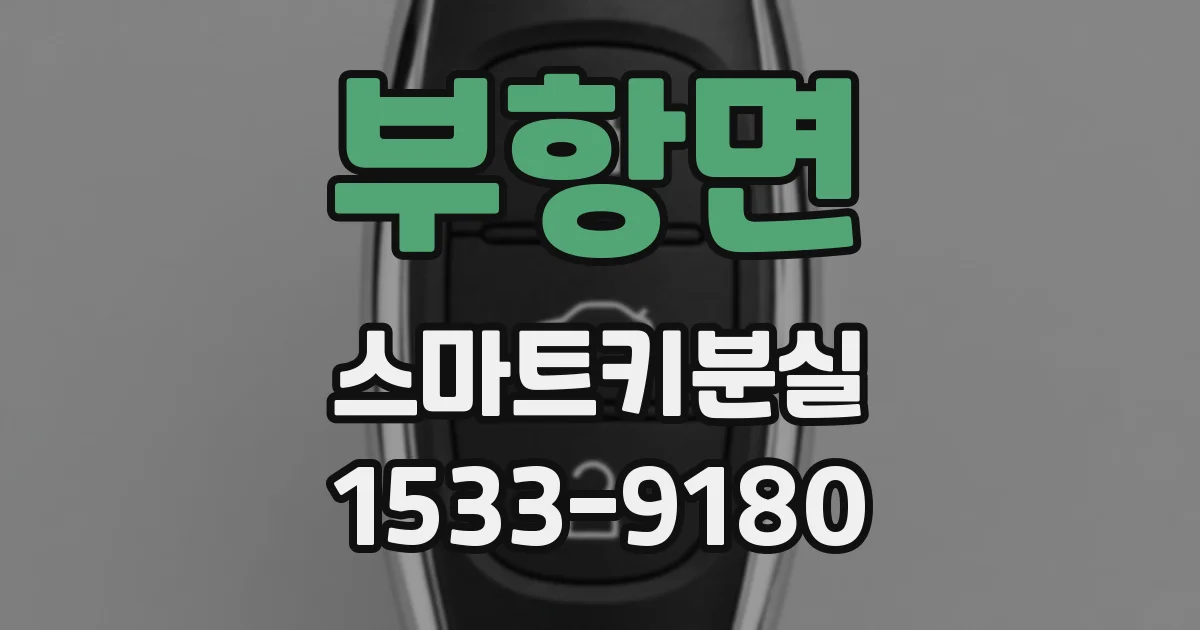 부항면 스마트키분실