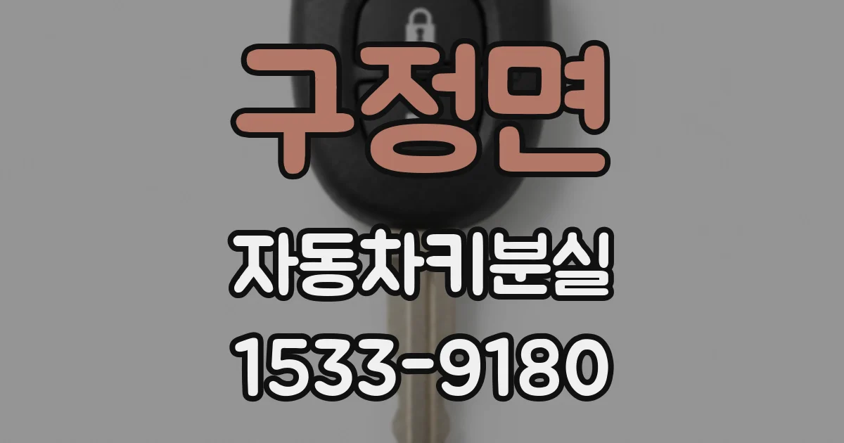 구정면 자동차키분실