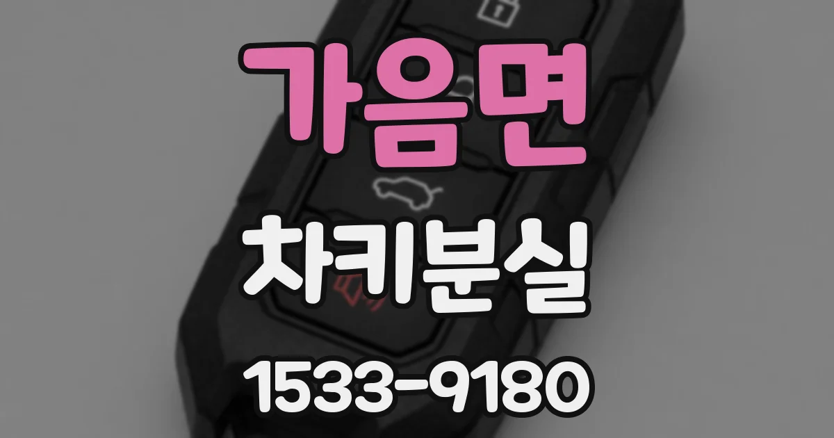 가음면 차키분실