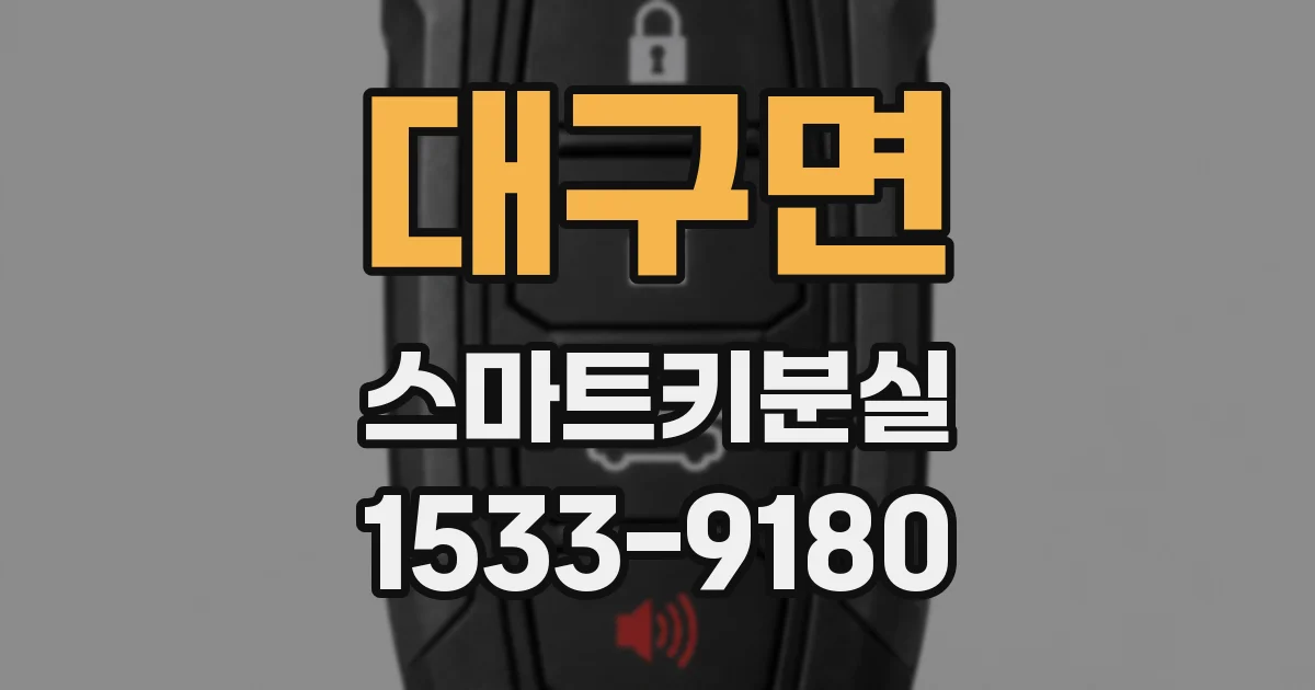대구면 스마트키분실