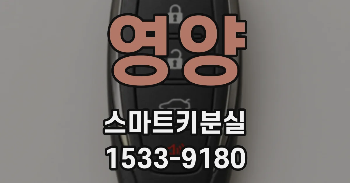 영양 스마트키분실