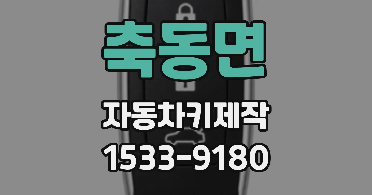 축동면 자동차키제작