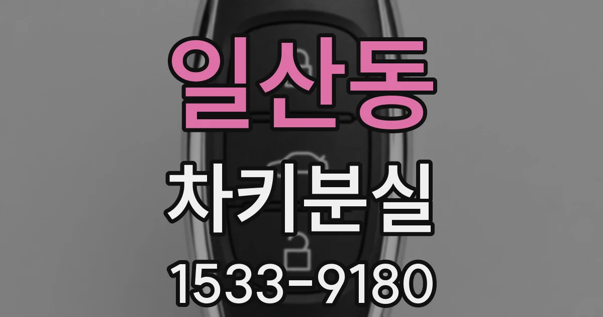 일산동 차키분실