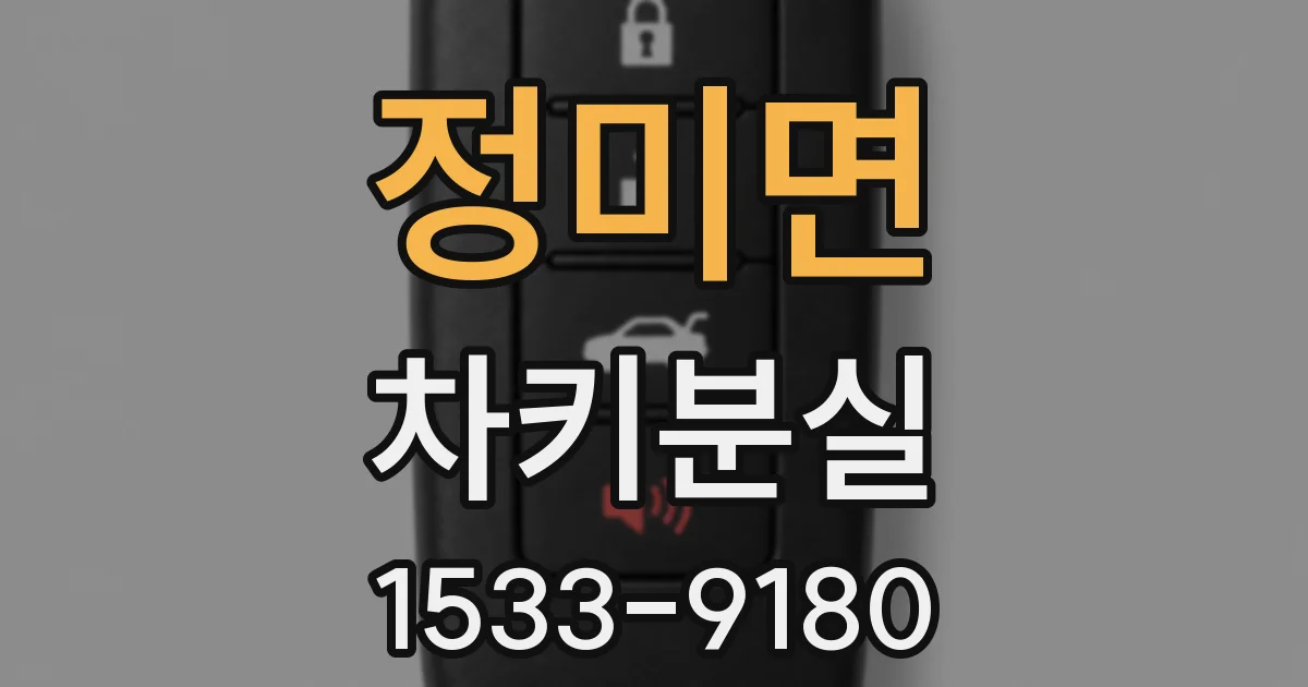 정미면 차키분실