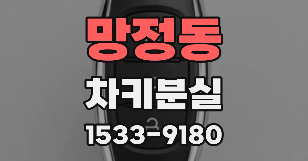 망정동 차키분실
