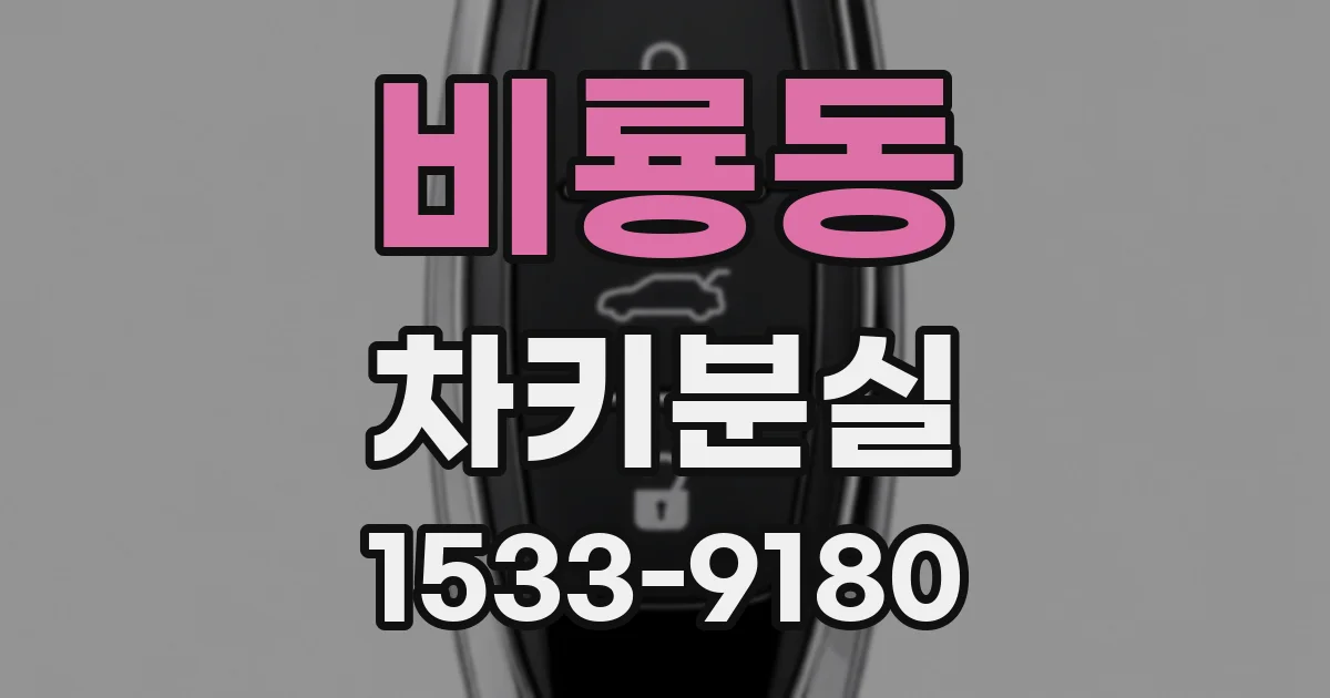 비룡동 차키분실