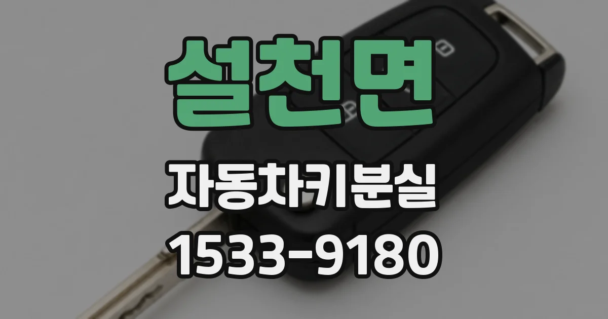 설천면 자동차키분실