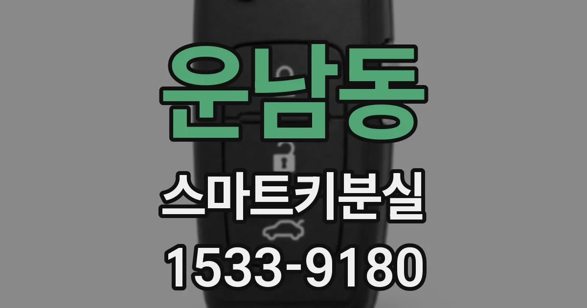 운남동 스마트키분실