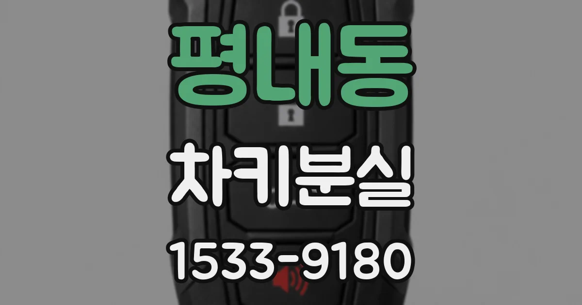 평내동 차키분실