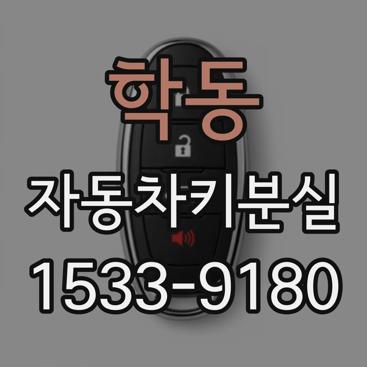 학동 자동차키분실