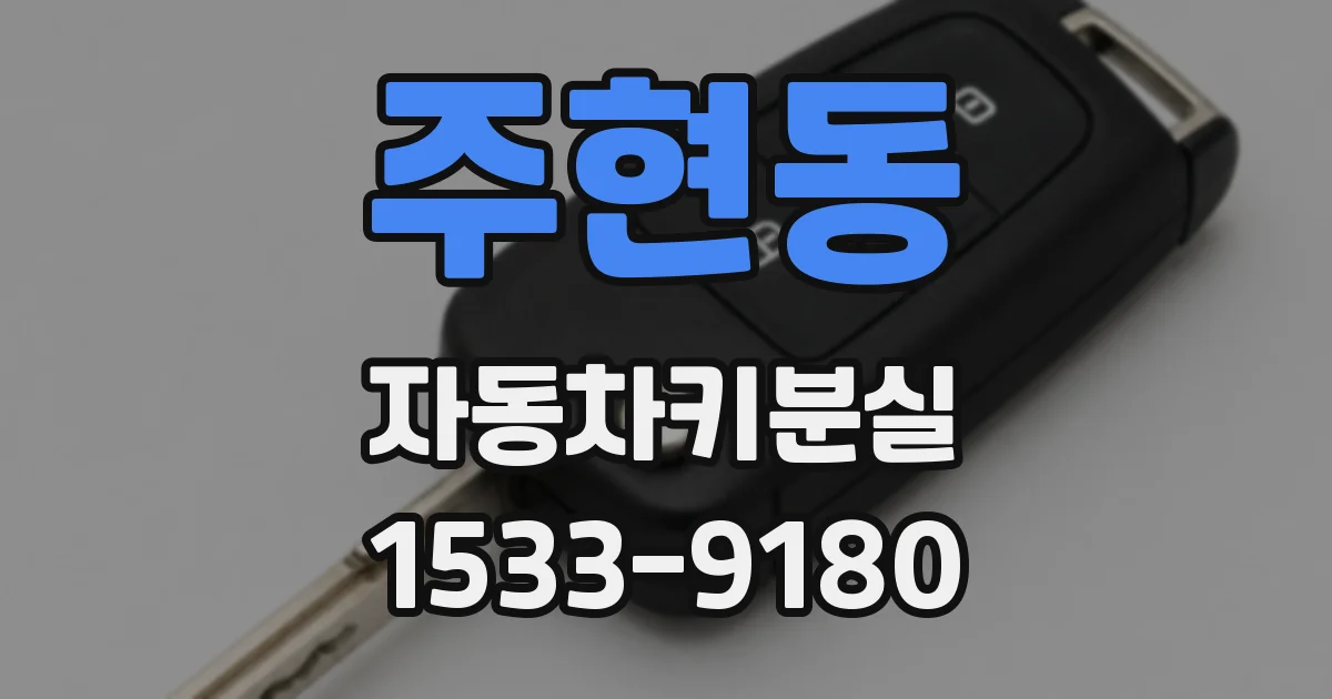 주현동 자동차키분실