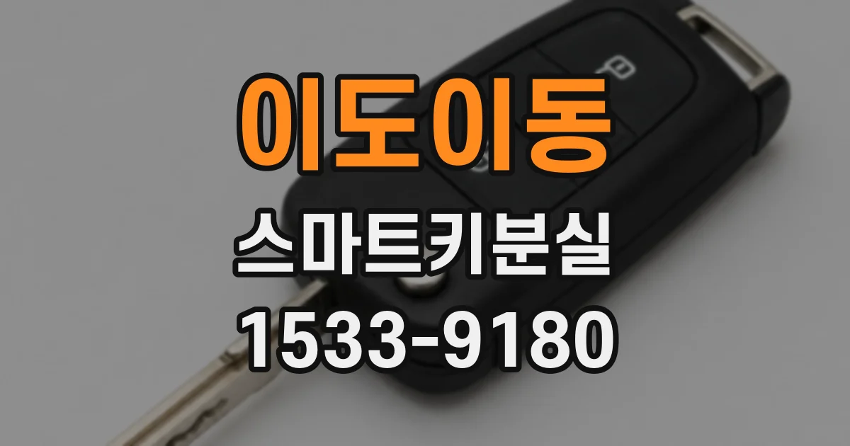 이도이동 스마트키분실