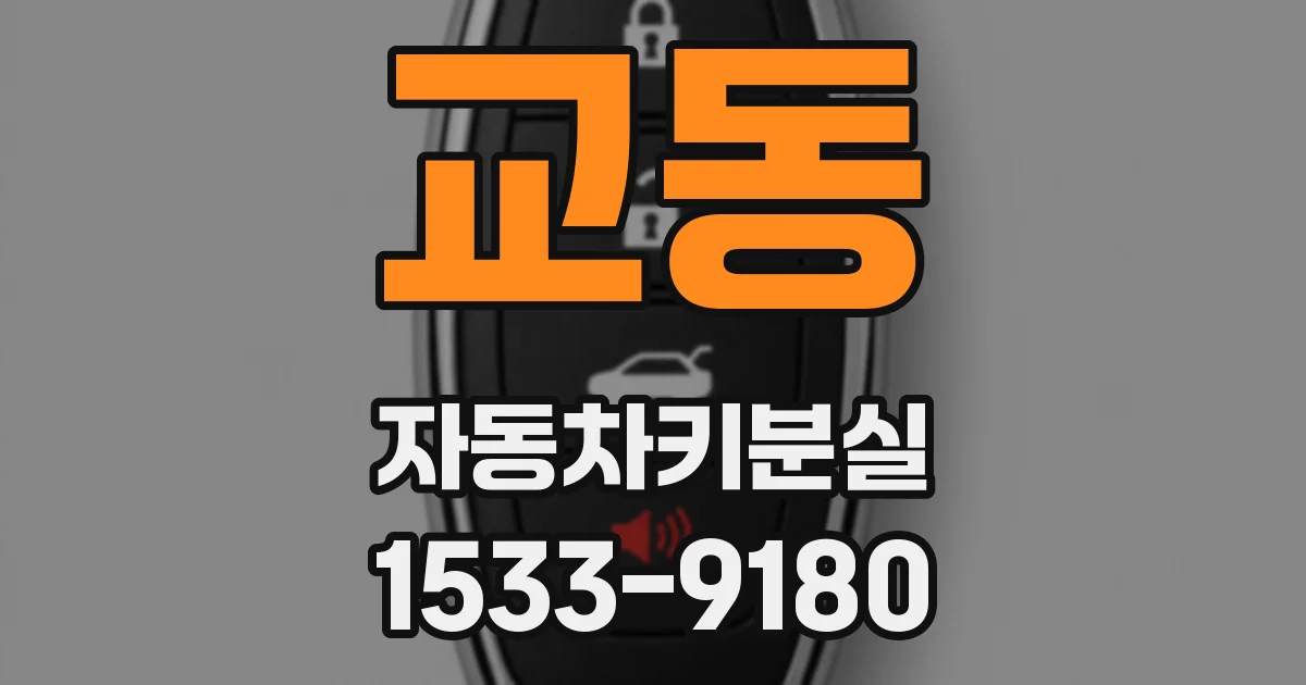 교동 자동차키분실