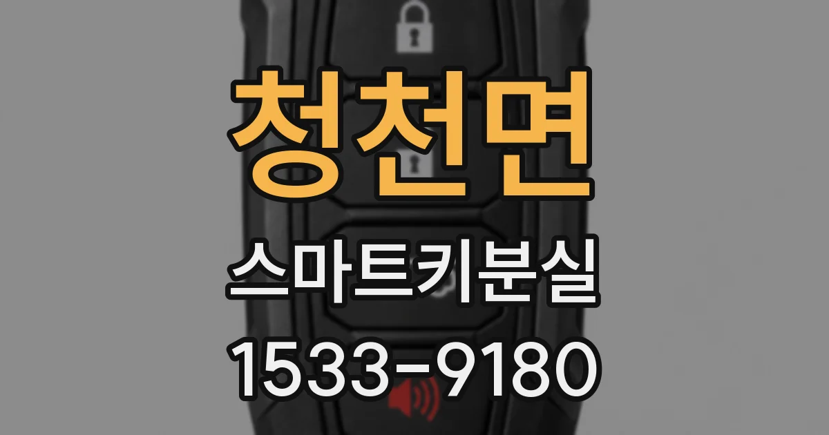 청천면 스마트키분실